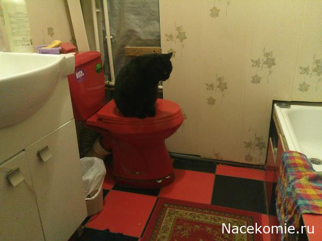 Eva1949 - Дом мечты-души моей воспоминания; 1Abrikoska - Мой гостеприимный дом