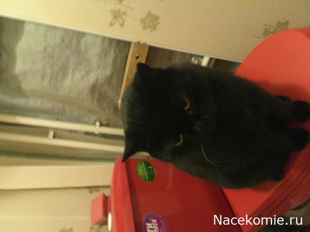 Eva1949 - Дом мечты-души моей воспоминания; 1Abrikoska - Мой гостеприимный дом