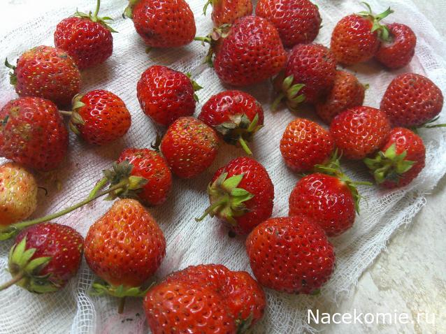 Eva1949 - Дом мечты-души моей воспоминания; 1Abrikoska - Мой гостеприимный дом