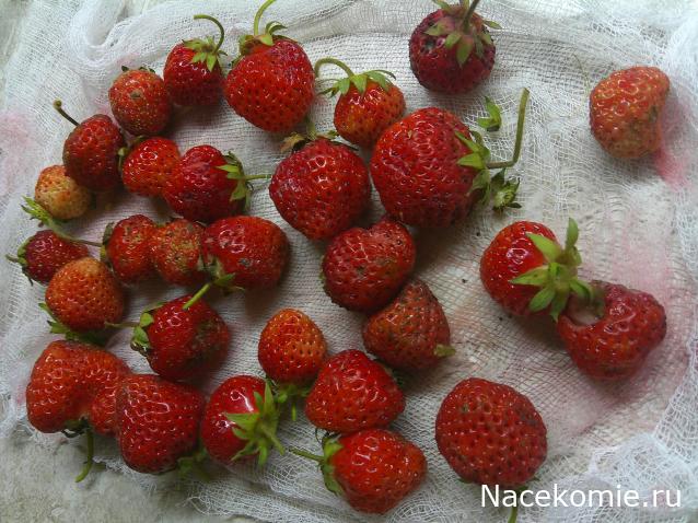 Eva1949 - Дом мечты-души моей воспоминания; 1Abrikoska - Мой гостеприимный дом