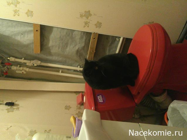 Eva1949 - Дом мечты-души моей воспоминания; 1Abrikoska - Мой гостеприимный дом