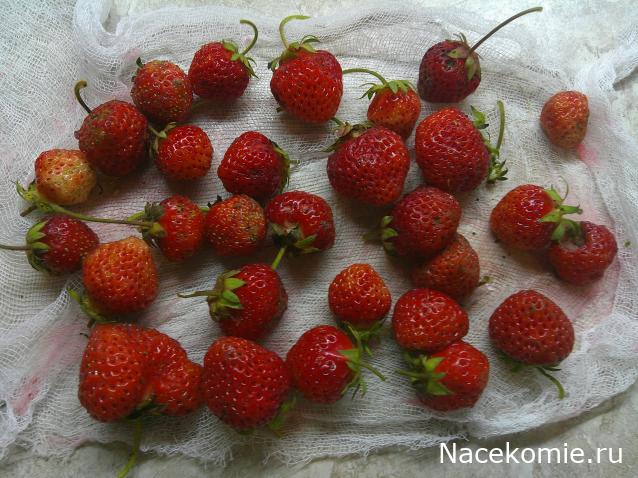 Eva1949 - Дом мечты-души моей воспоминания; 1Abrikoska - Мой гостеприимный дом