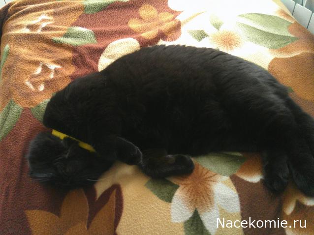 Eva1949 - Дом мечты-души моей воспоминания; 1Abrikoska - Мой гостеприимный дом