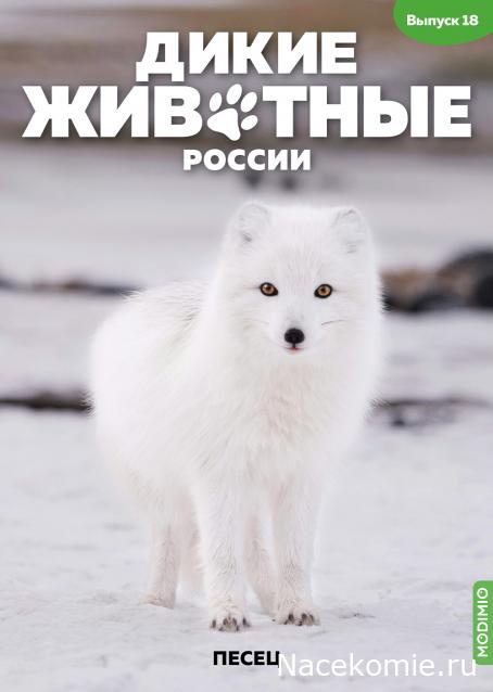 Дикие животные России (MODIMIO)
