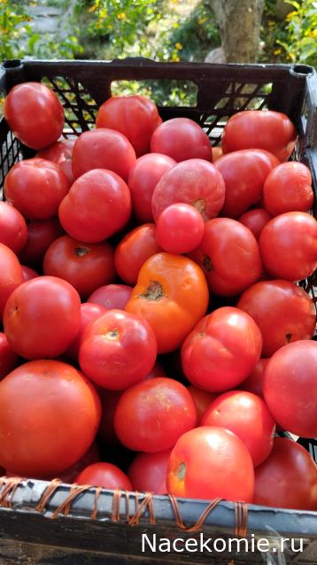 Кулинарный отдел