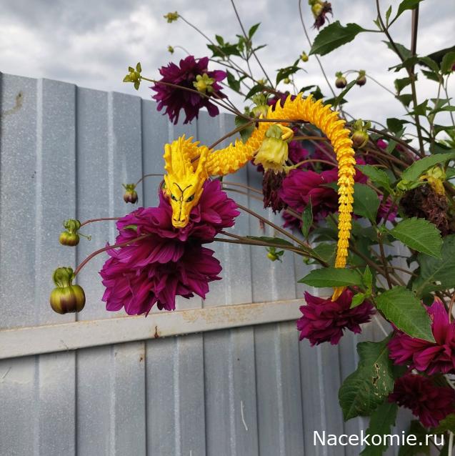 olga63- не знаю что получится
