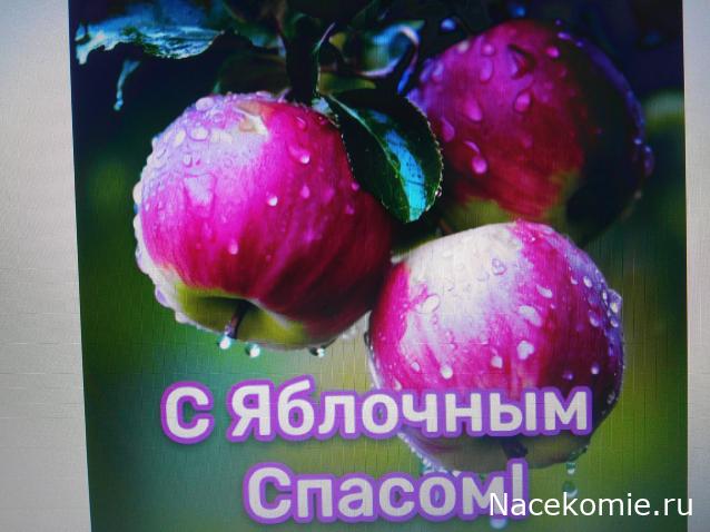 Праздник каждый день - поздравлялка Авторазделов