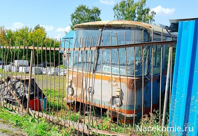 Автолегенды вживую