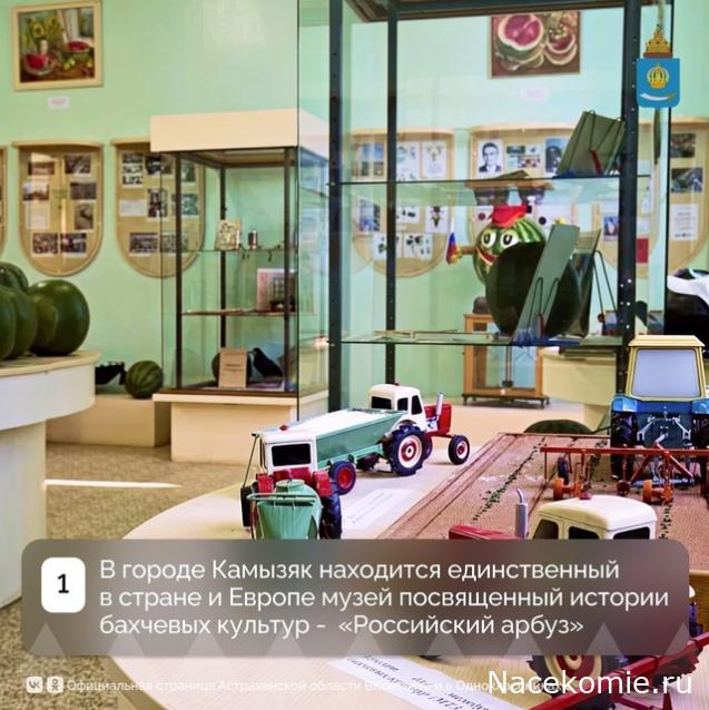 Liana65-Snegana - Мой будущий дом и его обитатели.
