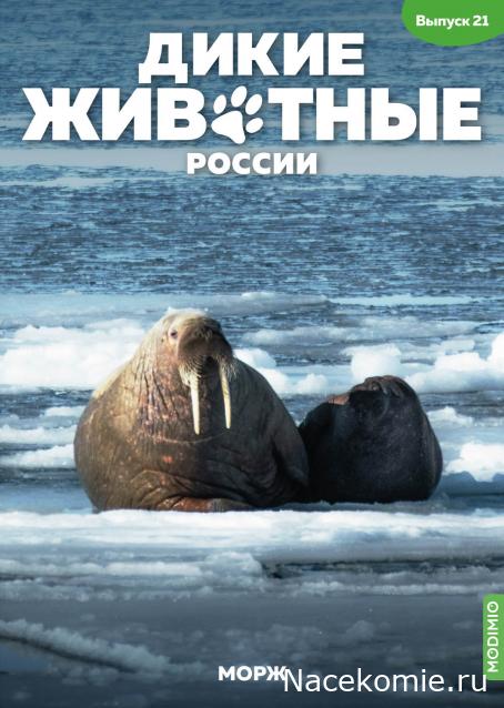 Дикие животные России (MODIMIO)
