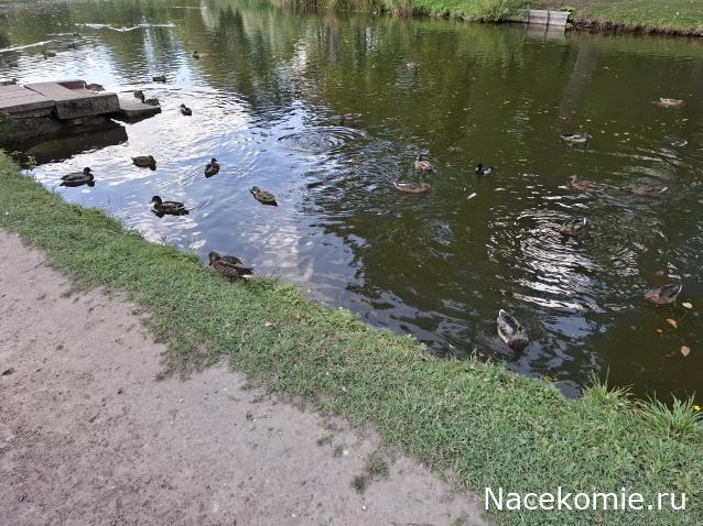 Мой любимый город или дорогие сердцу места