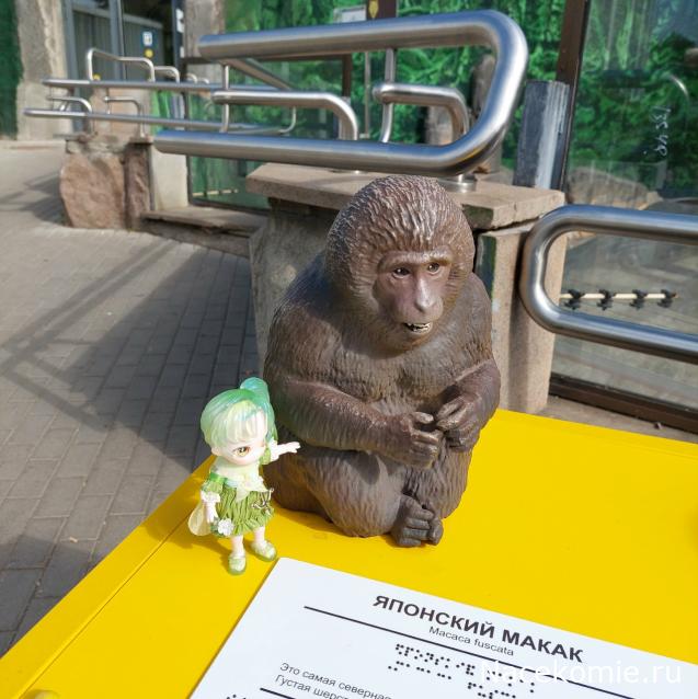 olga63- не знаю что получится