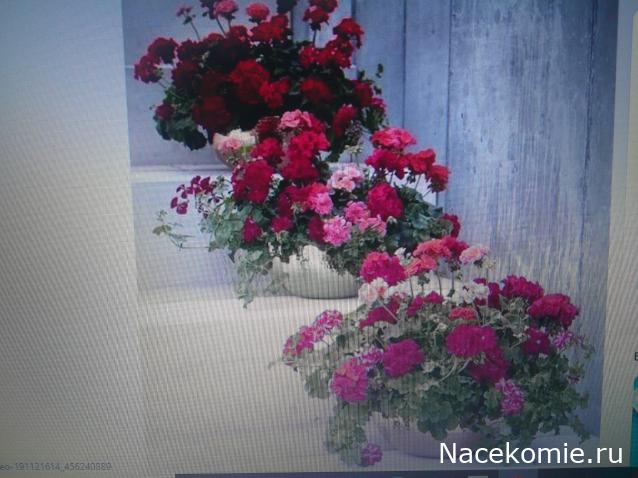 Eva1949 - Дом мечты-души моей воспоминания; 1Abrikoska - Мой гостеприимный дом