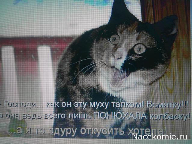 Eva1949 - Дом мечты-души моей воспоминания; 1Abrikoska - Мой гостеприимный дом