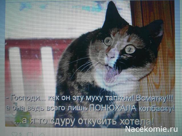 Eva1949 - Дом мечты-души моей воспоминания; 1Abrikoska - Мой гостеприимный дом