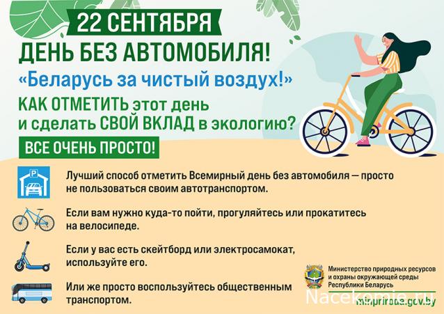 Праздник каждый день - поздравлялка Авторазделов