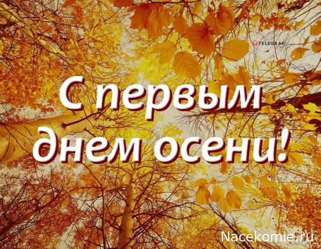 Радиорубка наших поездов: поздравления для всех тех, с кем нам по пути!