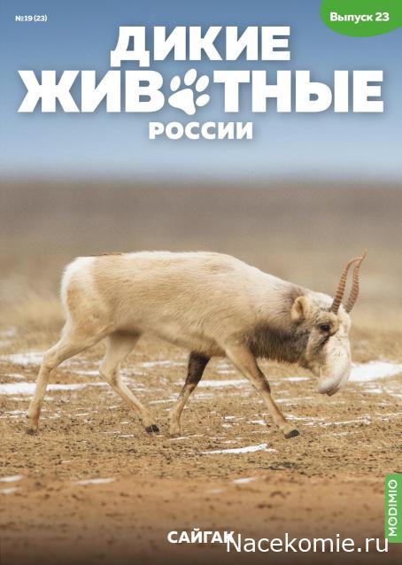 Дикие животные России (MODIMIO)