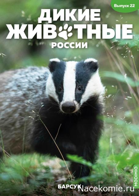 Дикие животные России (MODIMIO)