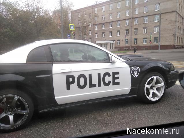 Автолегенды вживую