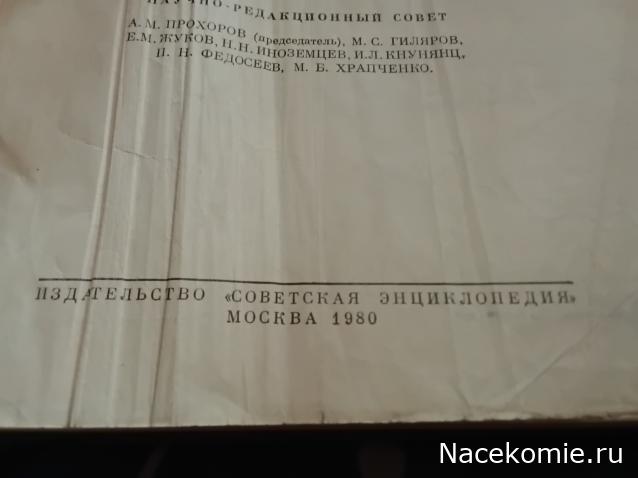 Вперёд в прошлое!