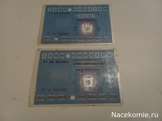 Вперёд в прошлое!
