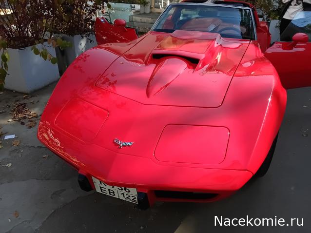 Автолегенды вживую