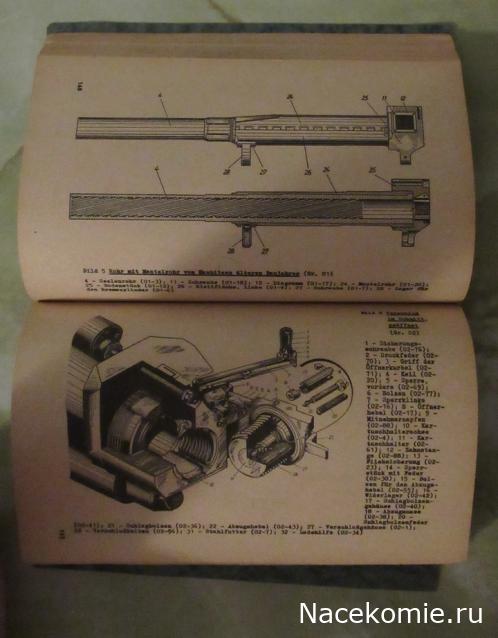 Вперёд в прошлое!