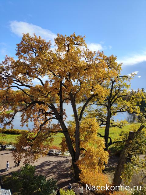 Мой любимый город или дорогие сердцу места