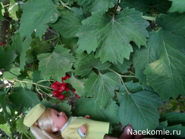 Liana65-Snegana - Мой будущий дом и его обитатели.