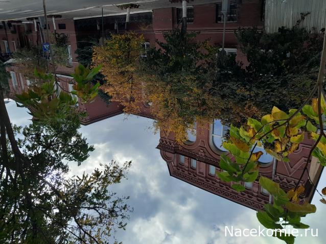 Liana65-Snegana - Мой будущий дом и его обитатели.