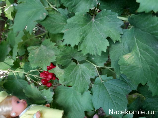 Liana65-Snegana - Мой будущий дом и его обитатели.