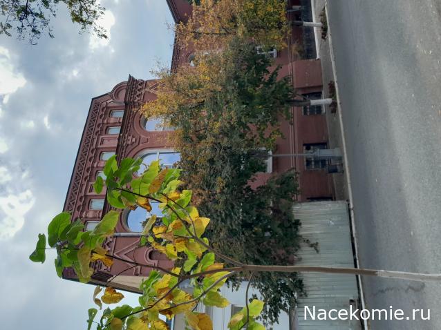 Liana65-Snegana - Мой будущий дом и его обитатели.