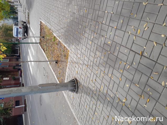 Liana65-Snegana - Мой будущий дом и его обитатели.