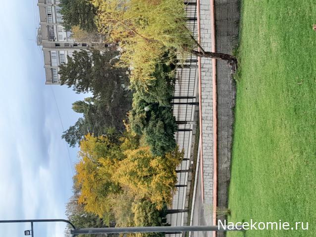 Liana65-Snegana - Мой будущий дом и его обитатели.