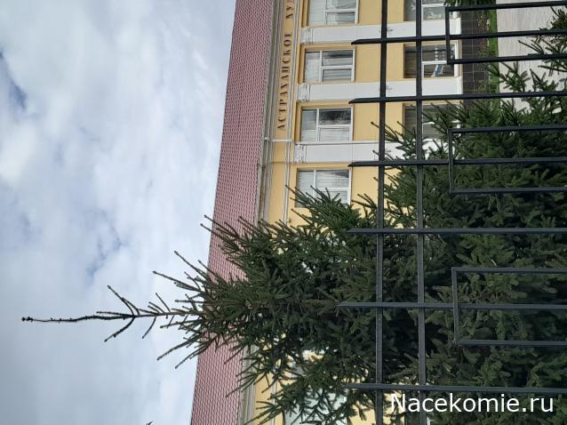 Liana65-Snegana - Мой будущий дом и его обитатели.