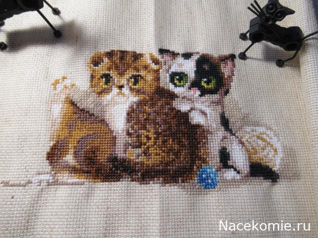 100 крестиков!