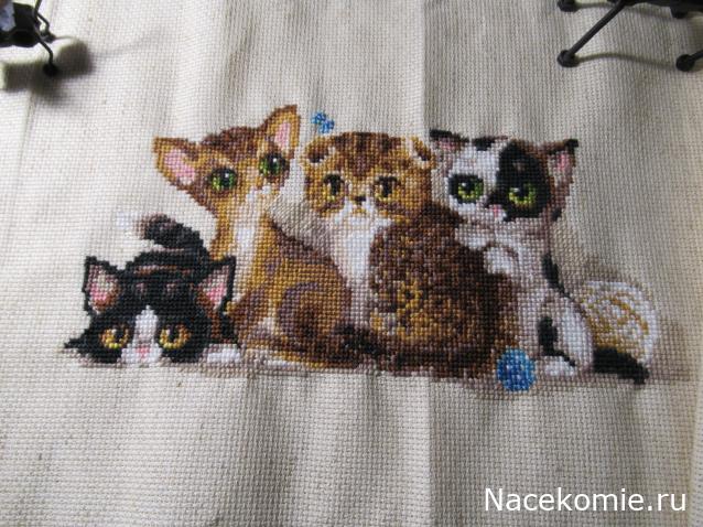 100 крестиков!