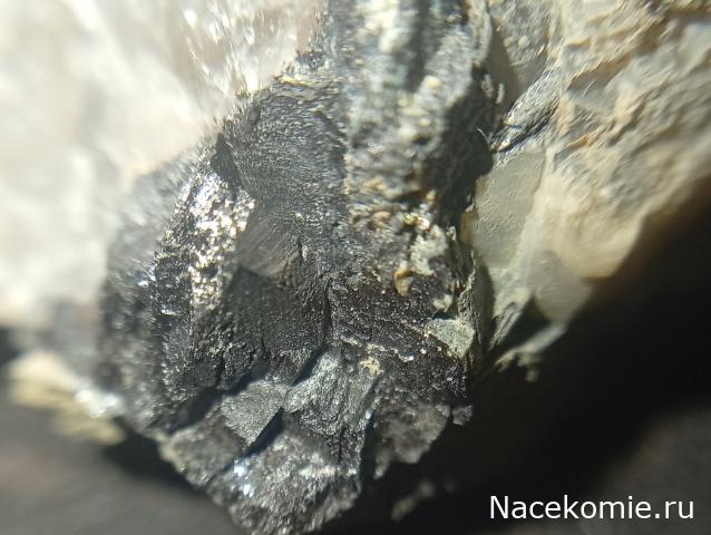 Компания кладоискателей. Болталка форума Минералов