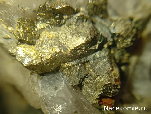 Компания кладоискателей. Болталка форума Минералов