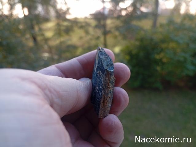 Компания кладоискателей. Болталка форума Минералов