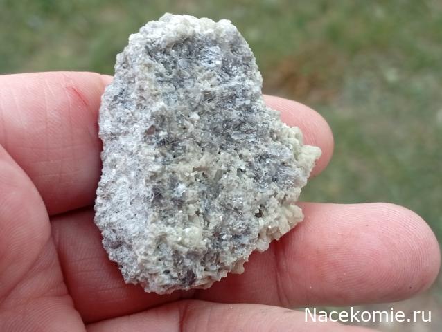 Компания кладоискателей. Болталка форума Минералов