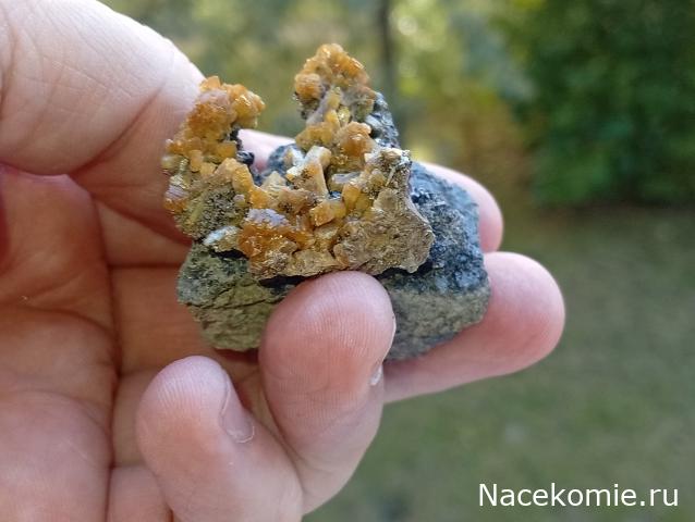 Компания кладоискателей. Болталка форума Минералов