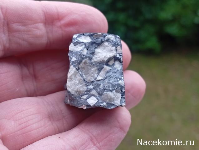 Компания кладоискателей. Болталка форума Минералов