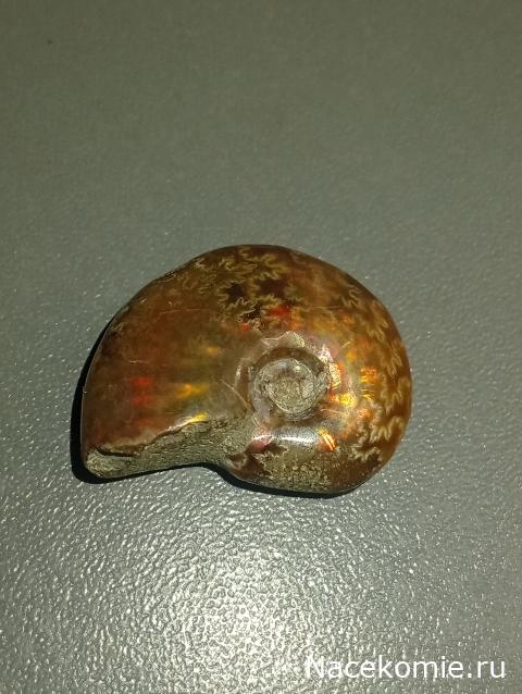 Компания кладоискателей. Болталка форума Минералов