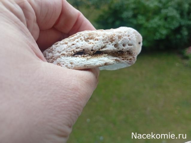 Компания кладоискателей. Болталка форума Минералов