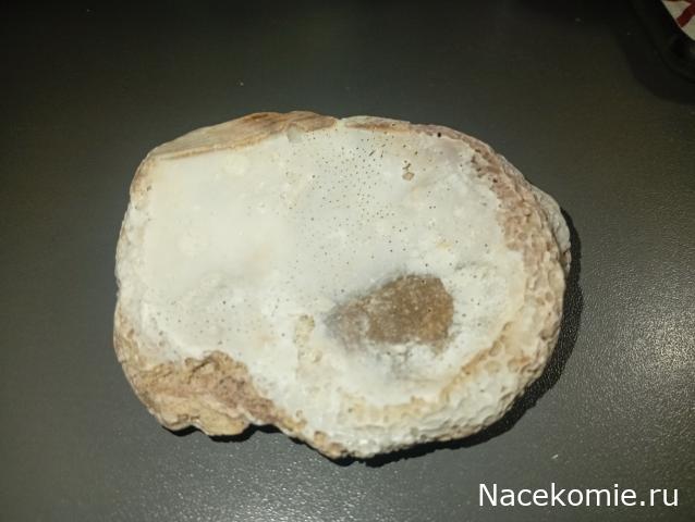 Компания кладоискателей. Болталка форума Минералов