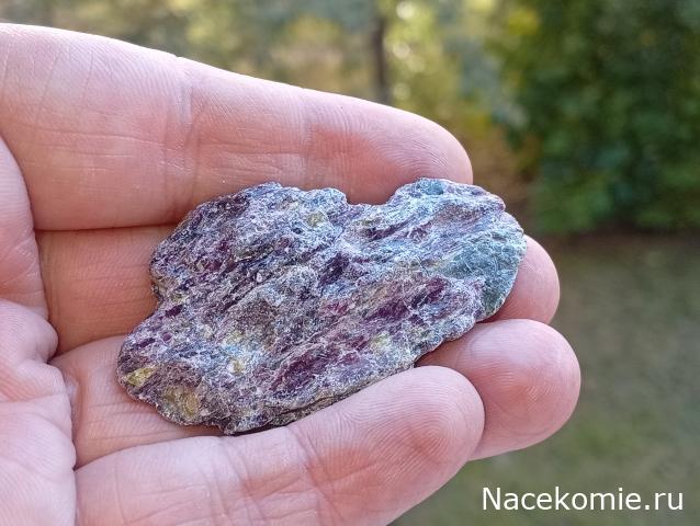 Компания кладоискателей. Болталка форума Минералов