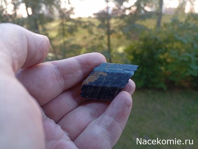 Компания кладоискателей. Болталка форума Минералов