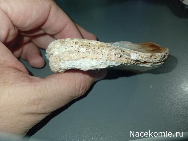 Компания кладоискателей. Болталка форума Минералов